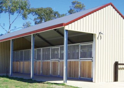 equine-1-product-billboard